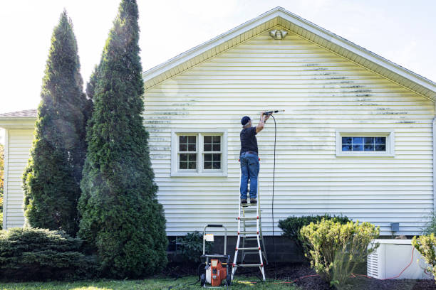 Best Affordable Pressure Washing  in Springdale, AR