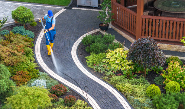 Best Pressure Washing Company Near Me  in Springdale, AR